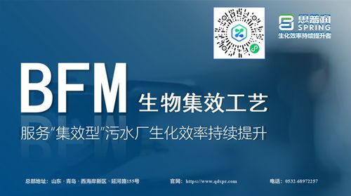 思普潤BFM生物集效工藝 賦能集效型污水廠，驅(qū)動生化效率的持續(xù)躍升